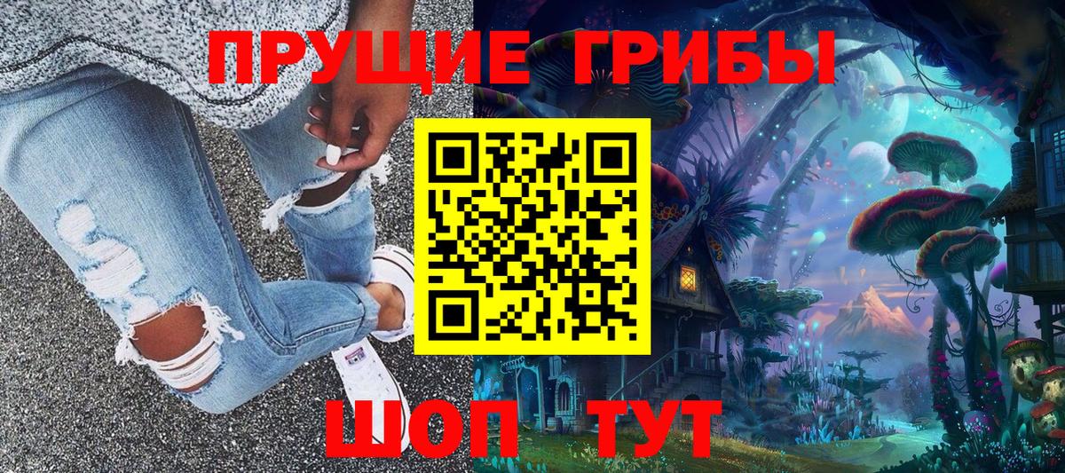 Алексин  Галлюциногенные грибы прущие грибы  Вход с VPN 